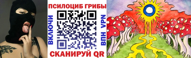 Галлюциногенные грибы Psilocybe  Барнаул 